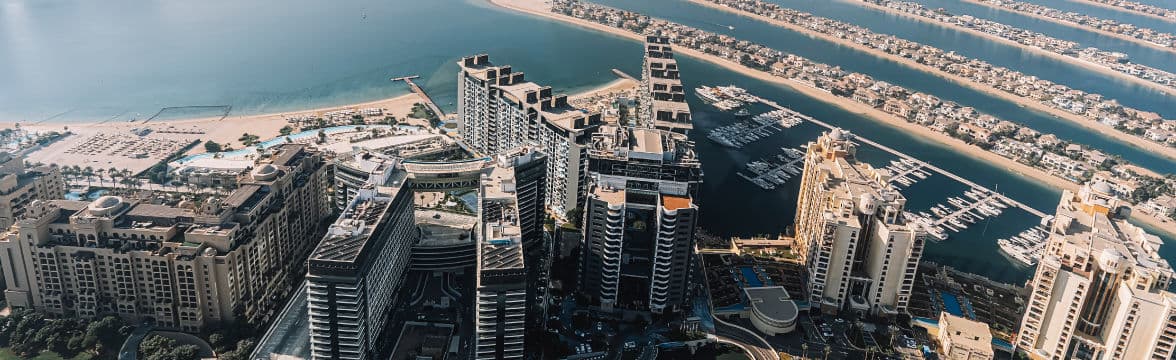 Project & Development Services